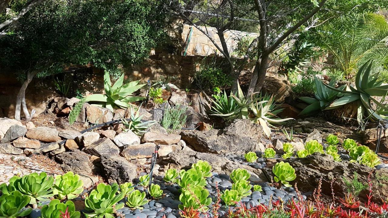 Appartement Montagu Little Sanctuary - Hot Spring Access At Reduced Price Extérieur photo